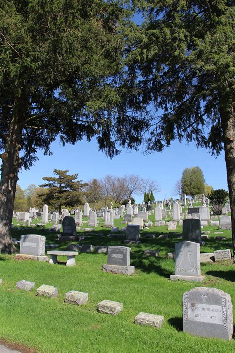 calvary cemetery utica ny find a grave